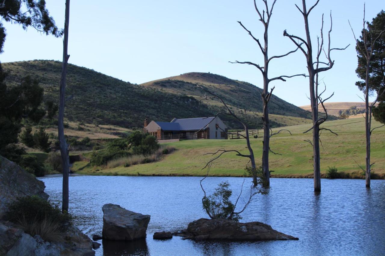 Wetlands Game Lodge Wakkerstroom Exterior foto