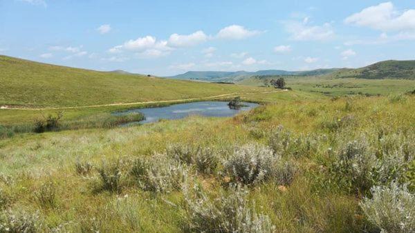 Wetlands Game Lodge Wakkerstroom Exterior foto