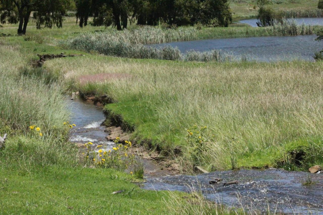 Wetlands Game Lodge Wakkerstroom Exterior foto